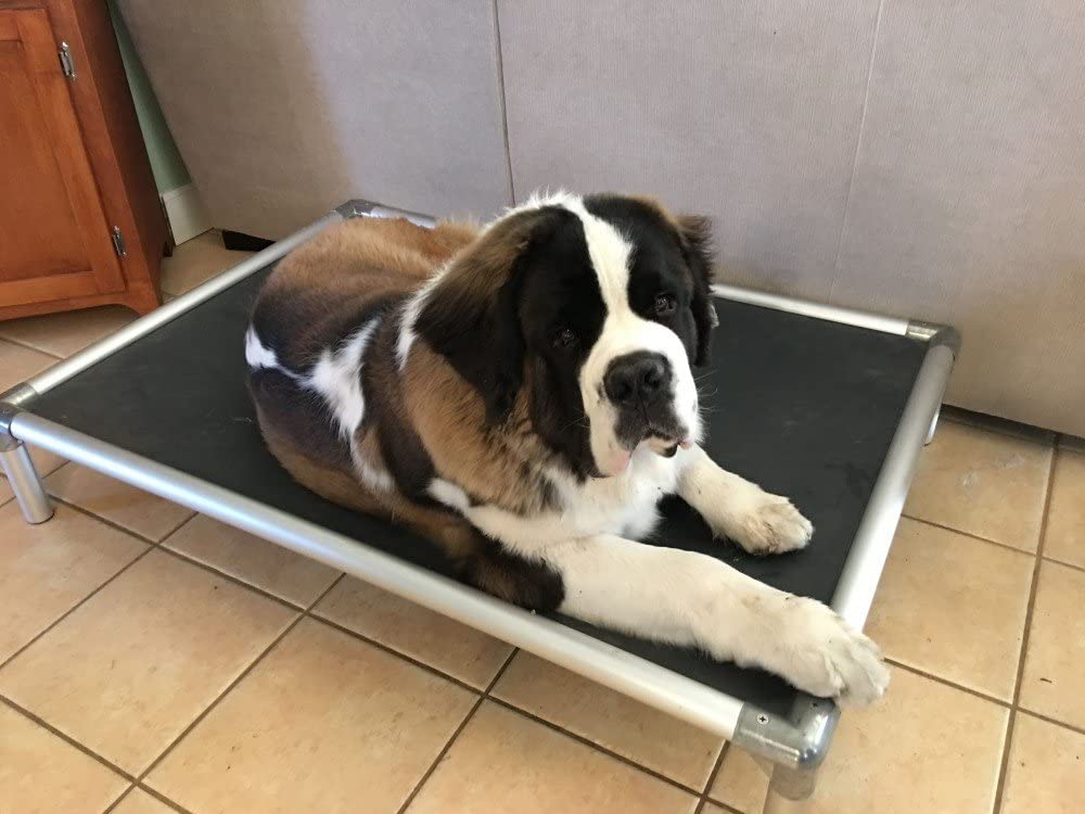 best dog bed for large dogs