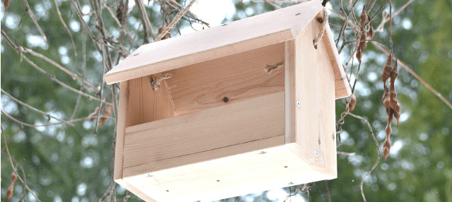 diy bird feeder project DIY,Listicle,Woodworking
